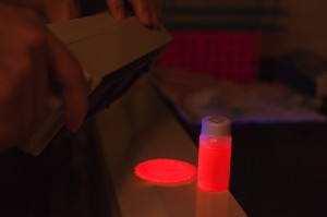 LED light emitted basing on nano technology LED light emitted basing on nano technology