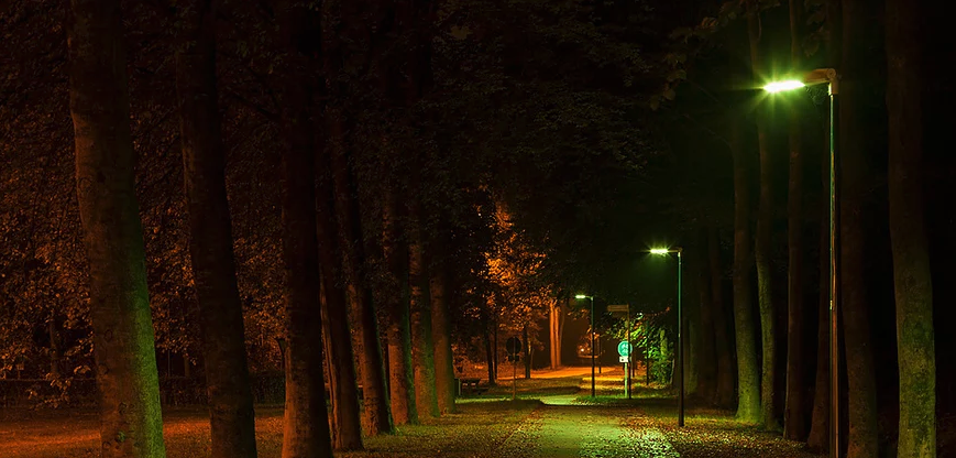 LED osvetlenie a netopiere LED osvetlenie a netopiere