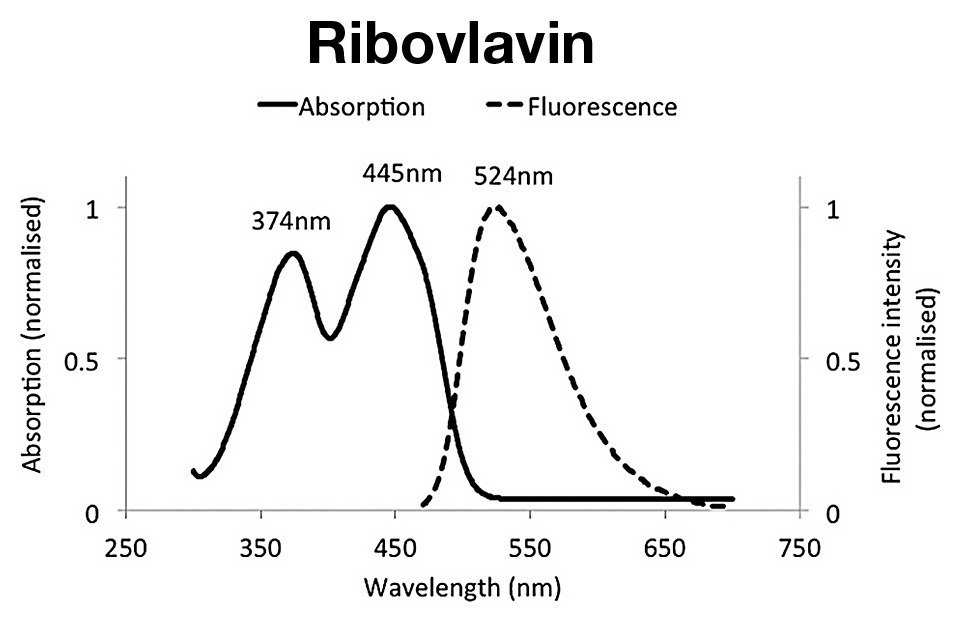 Graf absorpฤnรฉho spektra riboflavรญnu Graf absorpฤnรฉho spektra riboflavรญnu